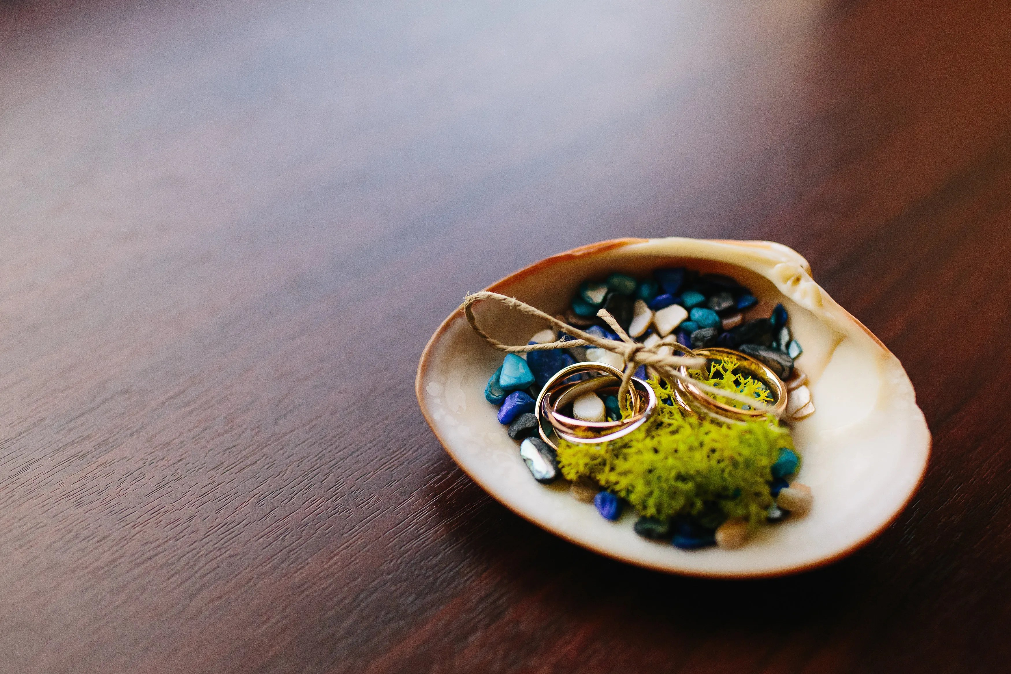 Wedding Rings Placed in Seashell