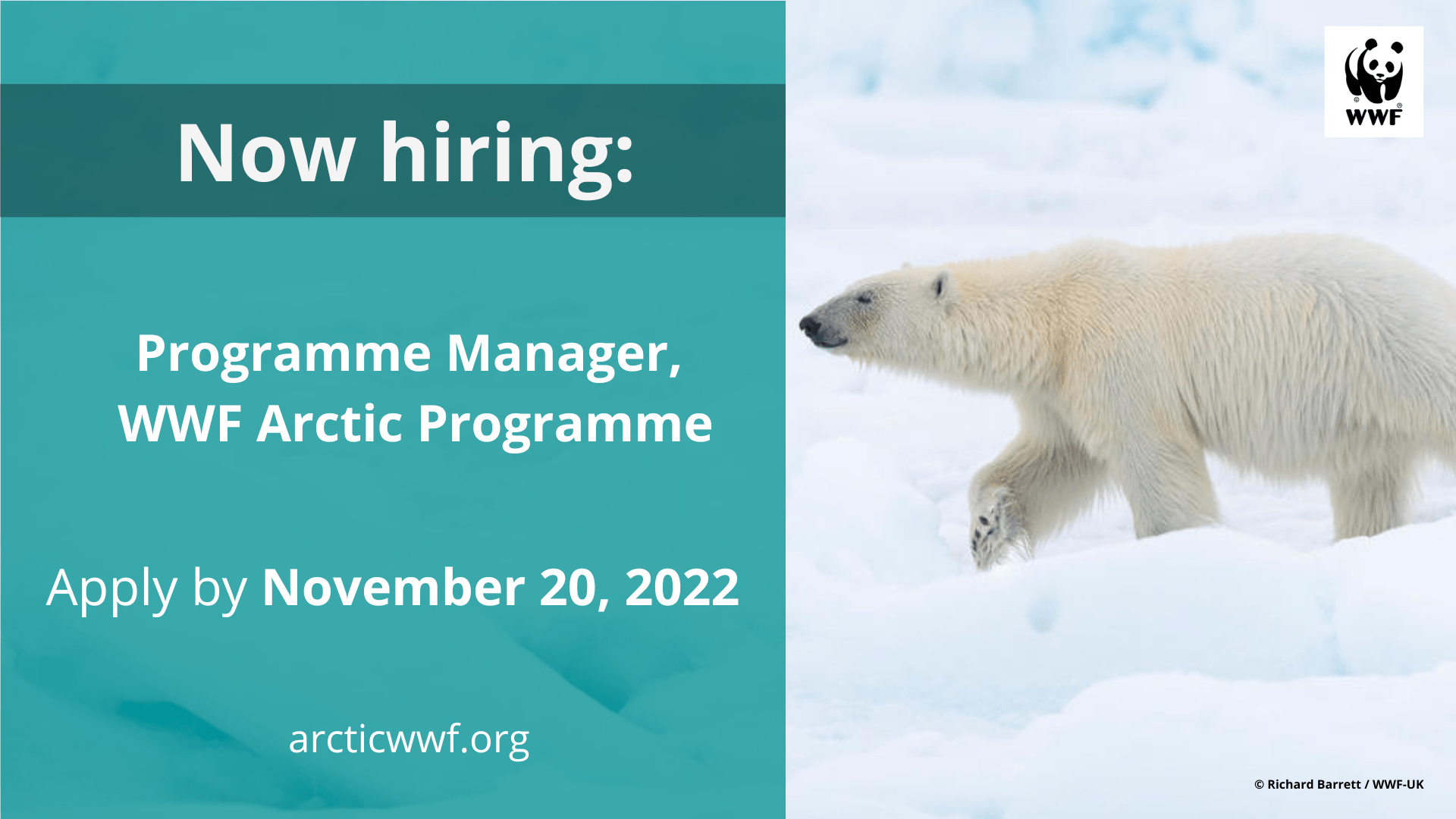 Hiring Programme Manager, Arctic Programme WWF Arctic