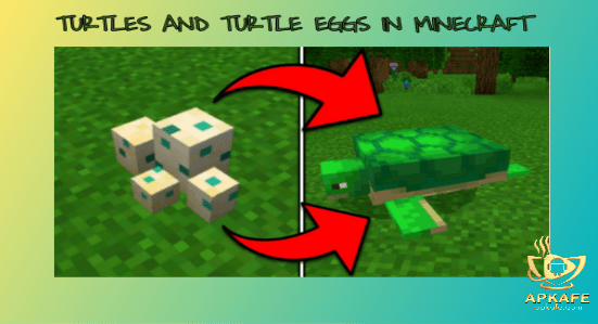 Turtle Eggs In Minecraft How to hatch Turtle eggs in the game