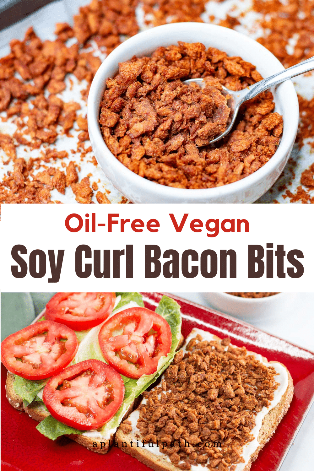 Vegan Bacon Bits A Plantiful Path