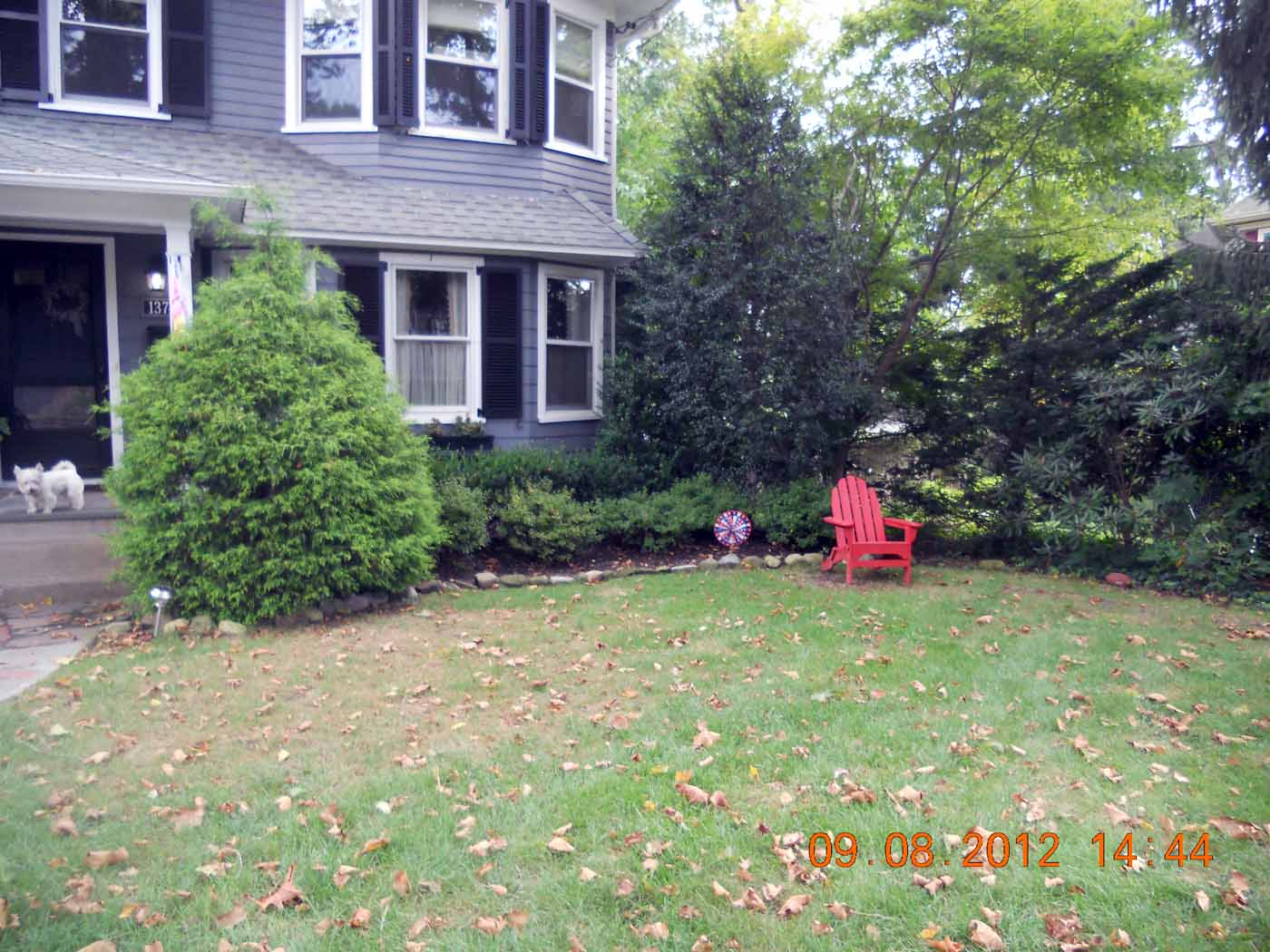 Landscaping in Ridgewood almost PERFECT Landscaping