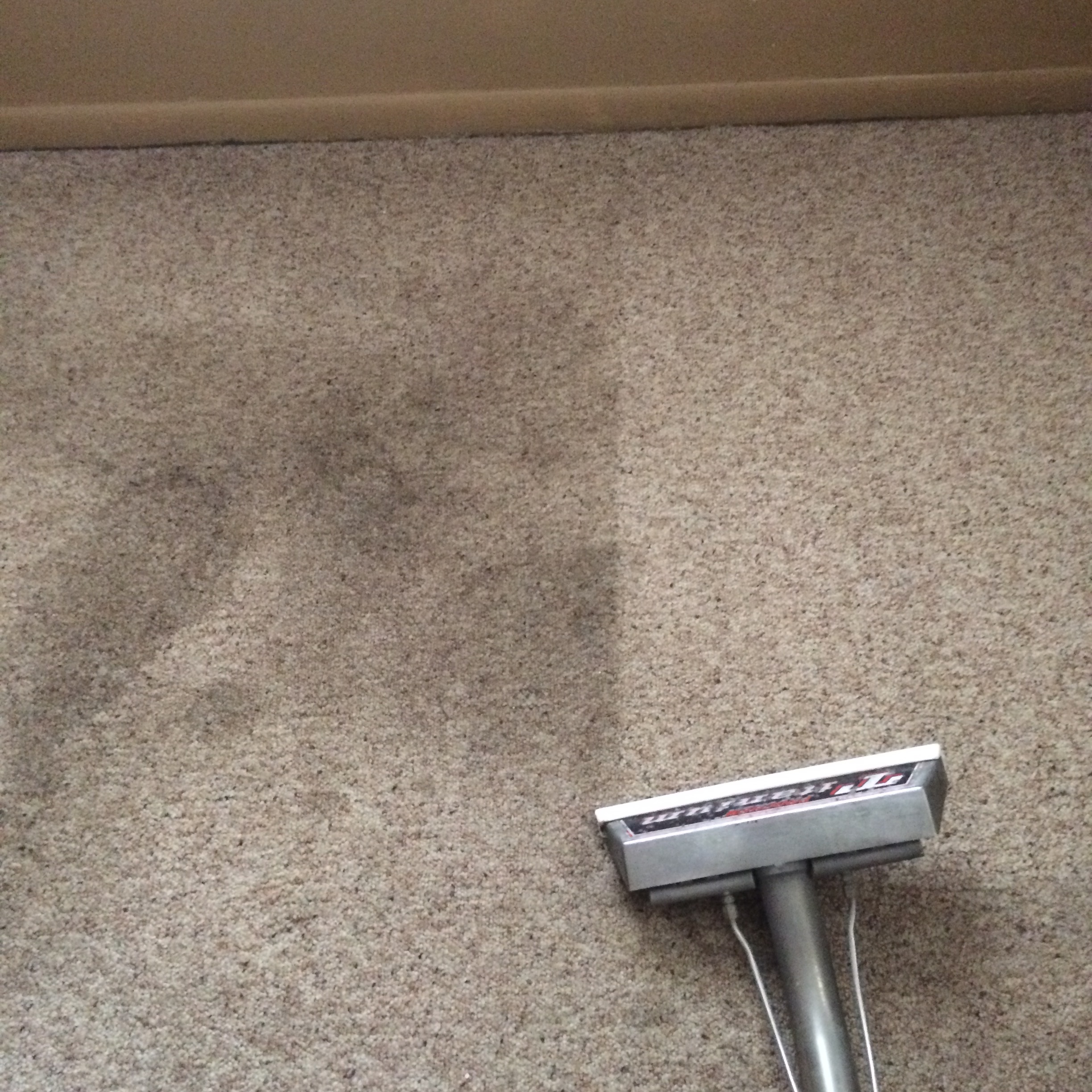A Plus Carpet Cleaning Tile and Grout Cleaning Upholstery Cleaning