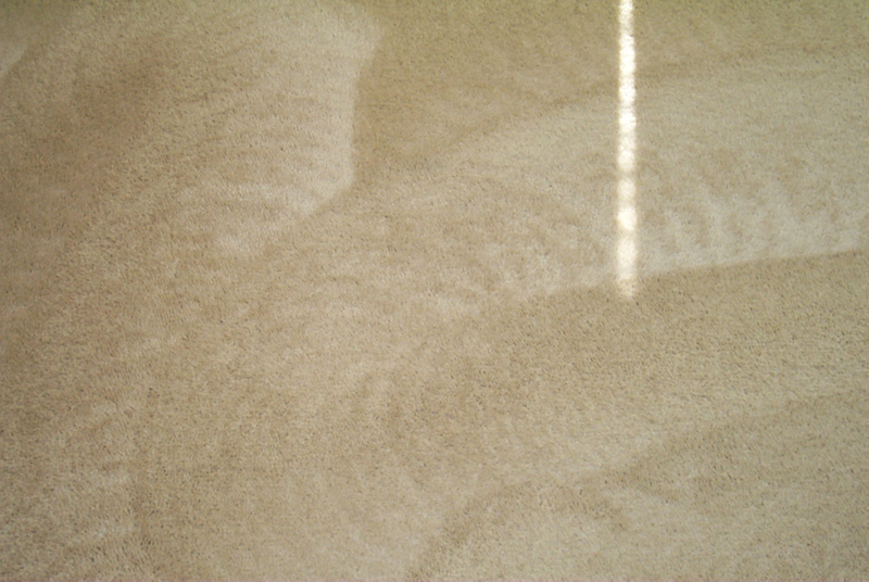 A Plus Carpet Cleaning Serving Minneola, Clermont, Groveland