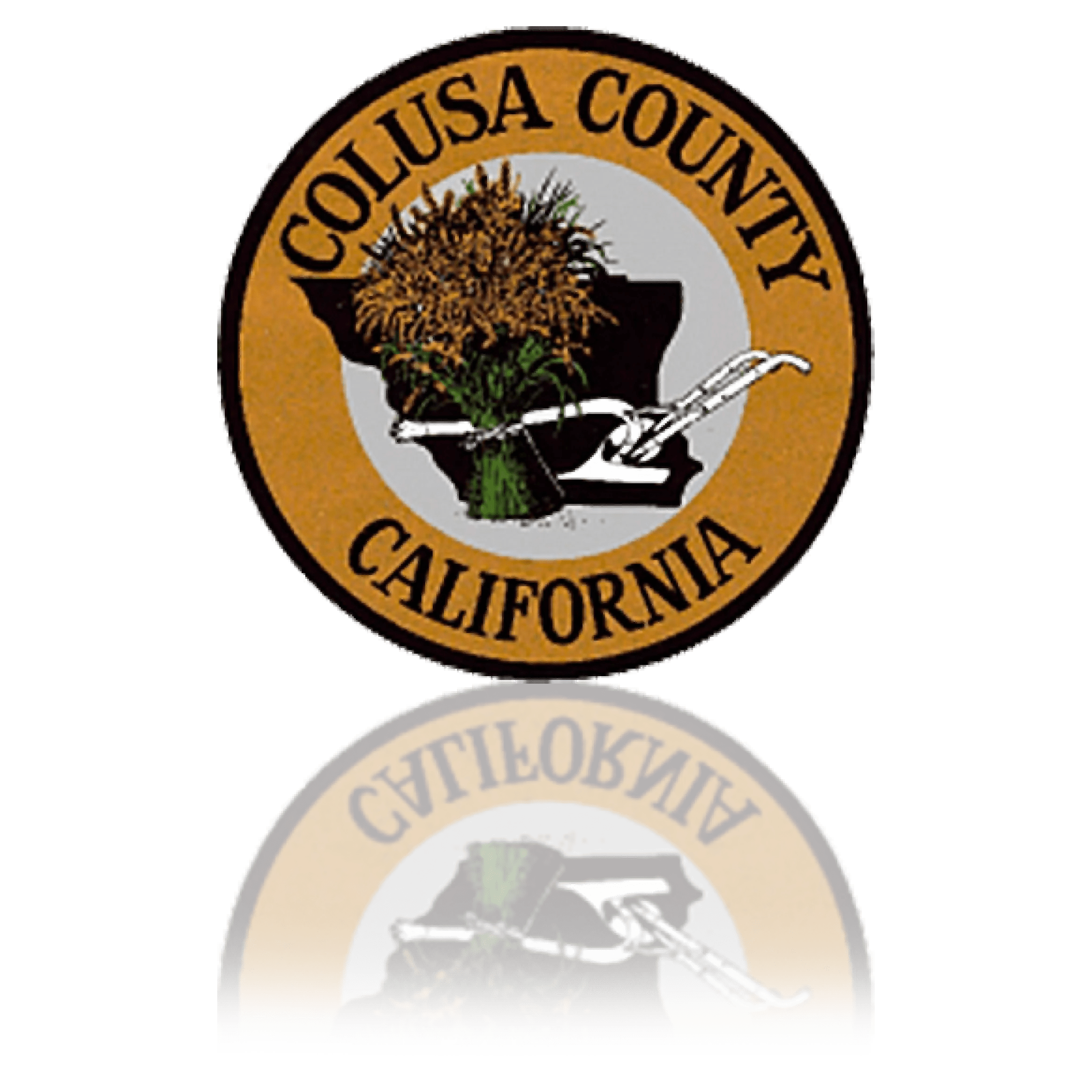 How Many Tiny Homes Can You Have On Your Property A+ Construction