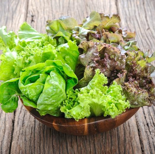 Lettuce, Gourmet Salad Blend A+ Garden Center Duluth, Minnesota