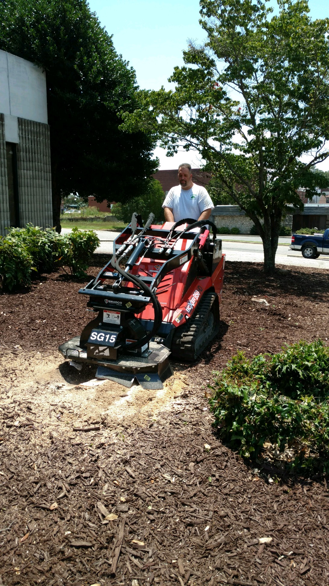 Tree Care A+ Lawn & Landscaping Gastonia, NC