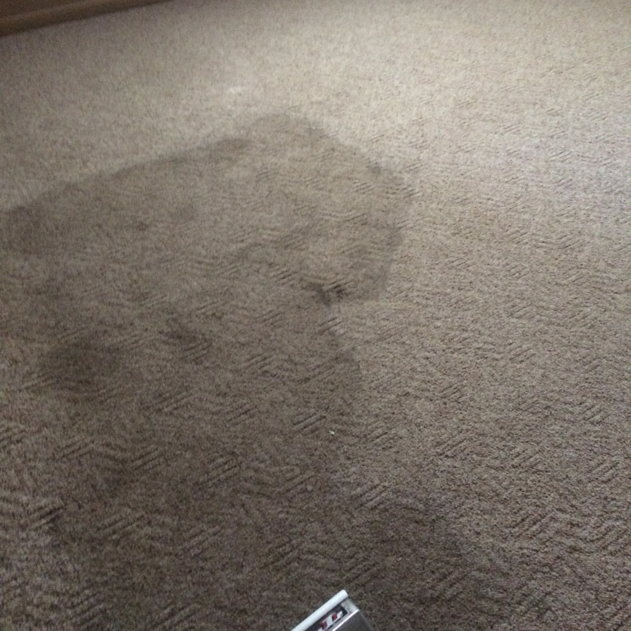 A Plus Carpet Cleaning Tile and Grout Cleaning Upholstery Cleaning