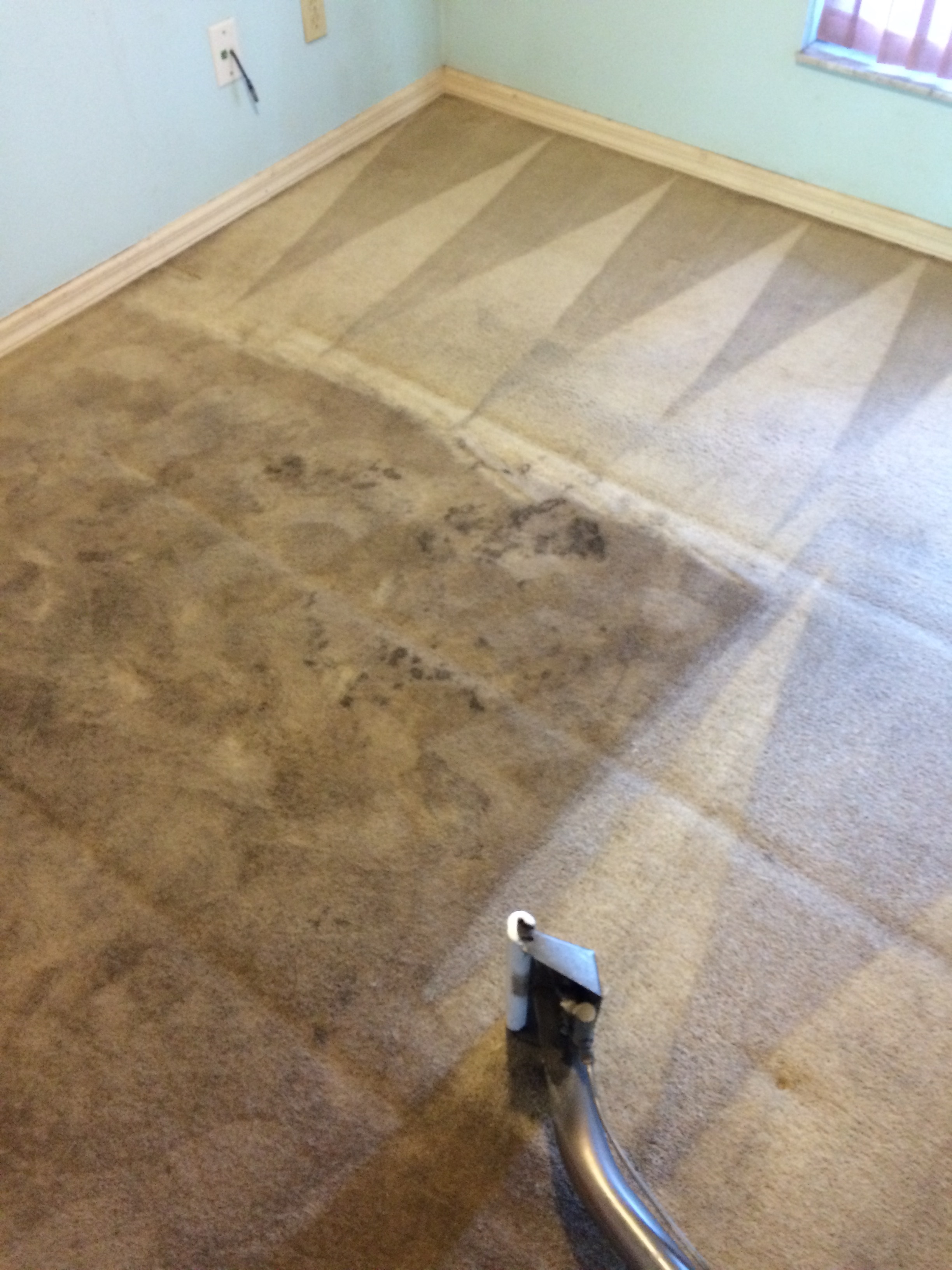 A Plus Carpet Cleaning Tile and Grout Cleaning Upholstery Cleaning