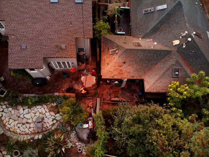 How Long Does It Take to Cut Down a Tree?