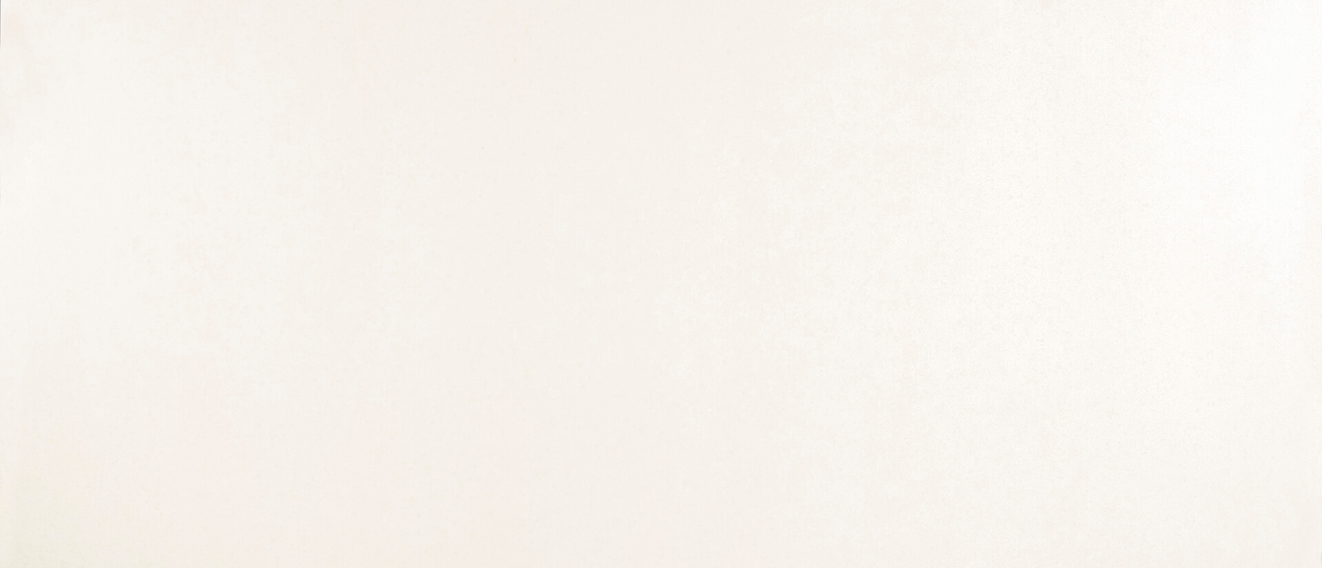 CALICO WHITE™ QUARTZ Absolute Kitchen & Granite