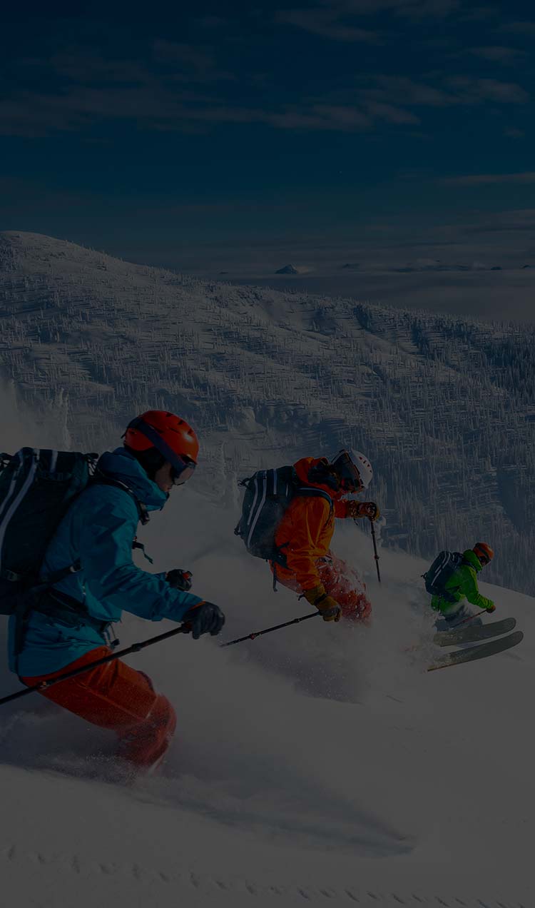 Skiing and Snowboarding All Points North