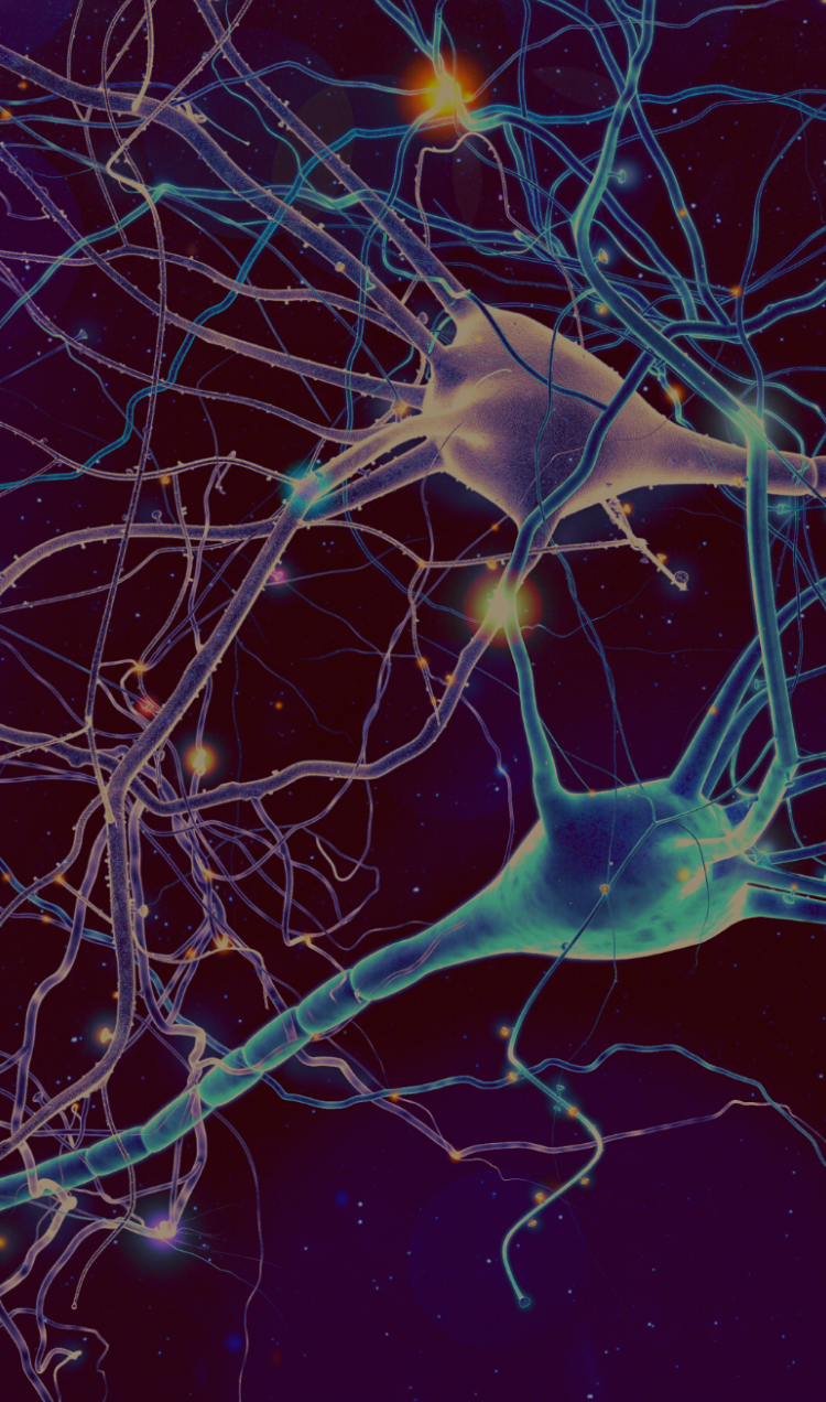 Rewire Your Brain with Neurotechnology All Points North