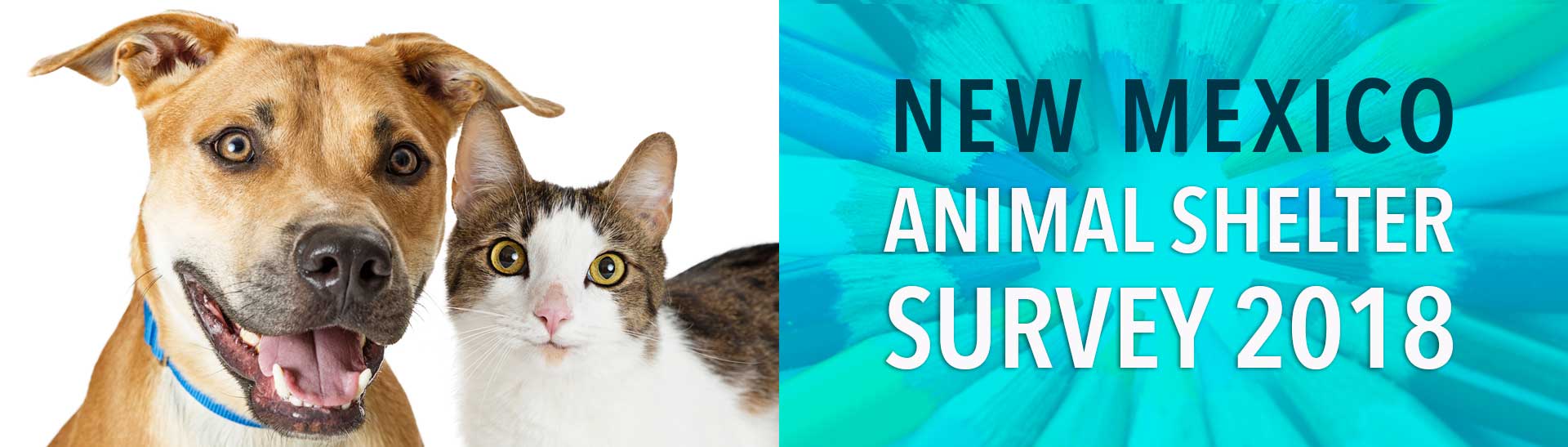 Search a wide range of information from across the web with theresultsengine.com 2018 New Mexico Animal Shelter Survey