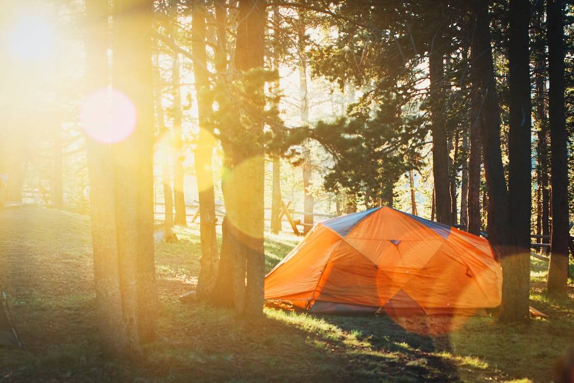 Camping Hammock vs. Tent Which is the Ultimate Outdoor Shelter