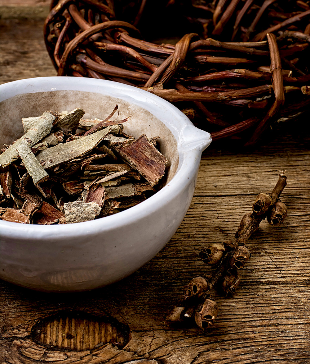 Licorice RootV The APO E Gene Online Program