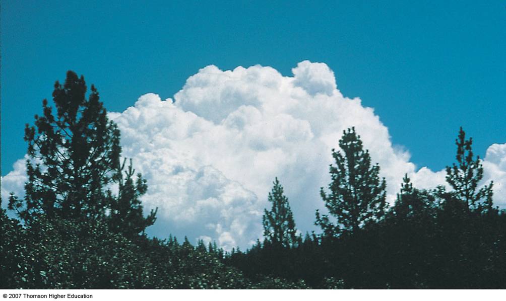 Rayleigh and Mie Scattering in the Atmosphere