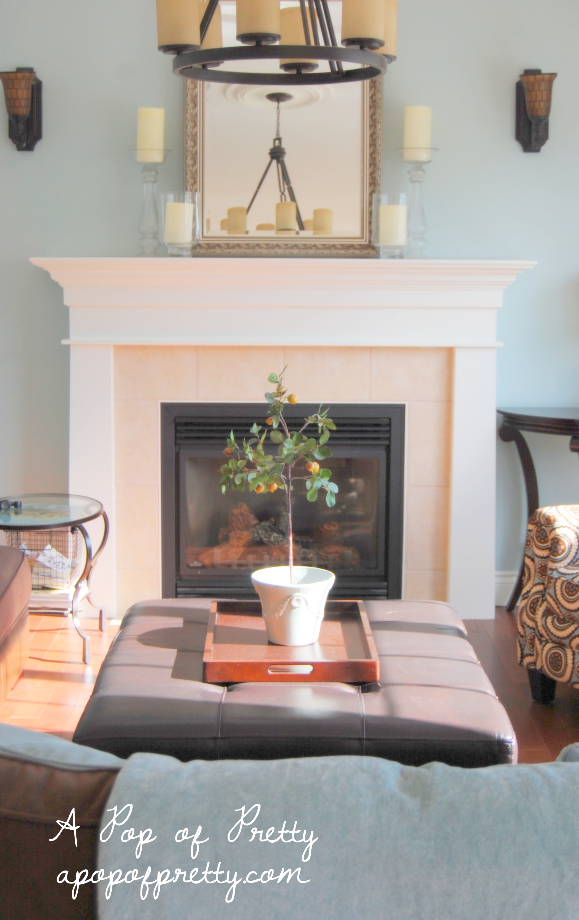 DSC_0200 A Pop of Pretty Blog (Canadian Home Decorating Blog St. John's, Canada)