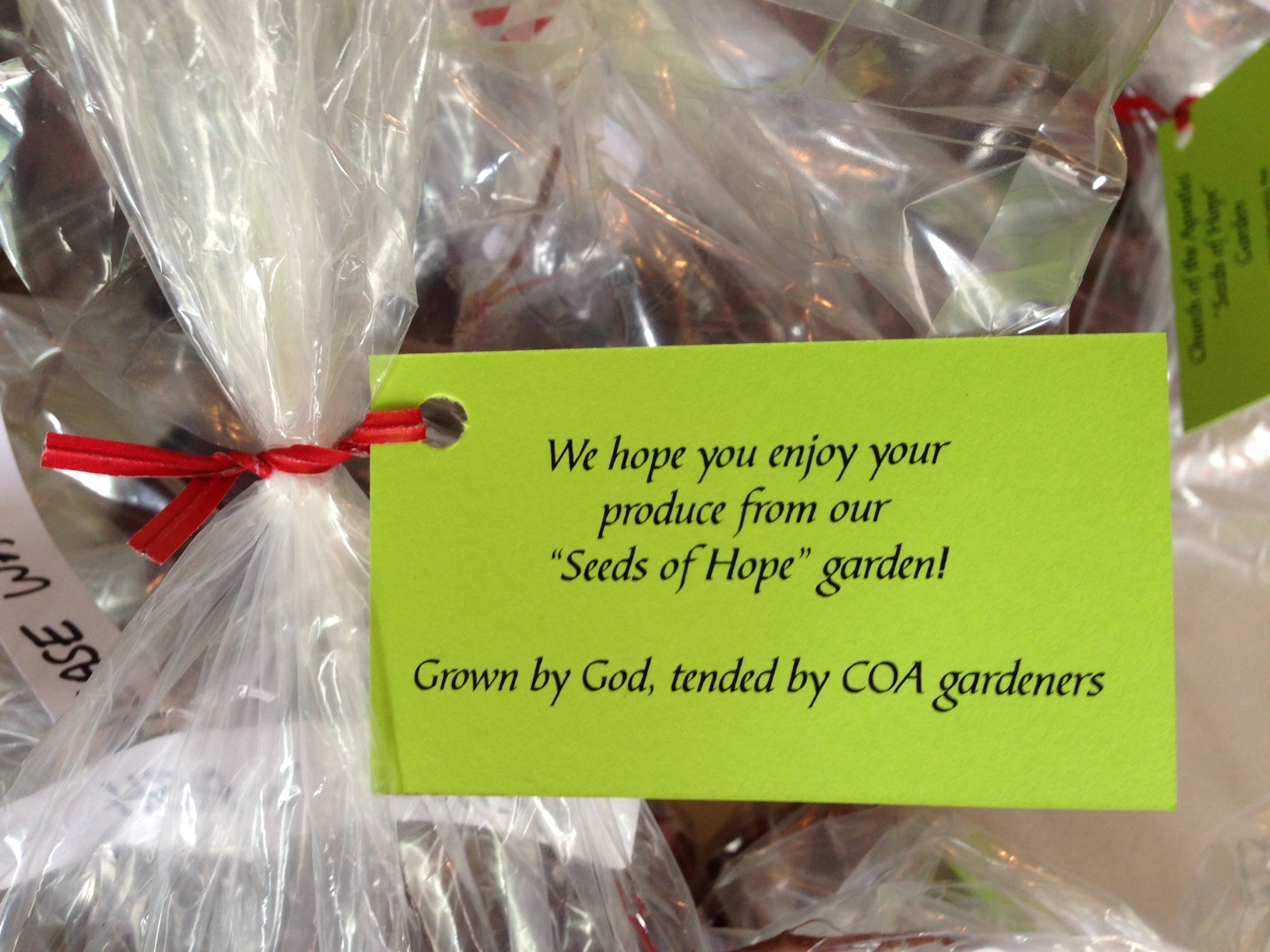 Power Packs Project Church of the Apostles, Lancaster, Pa