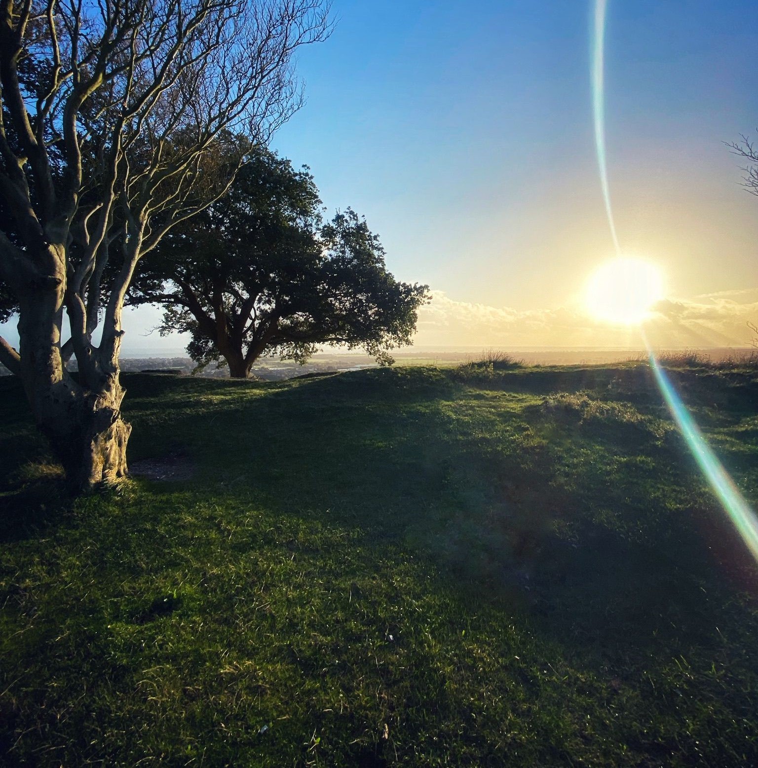 Contact Coast & Country Coast & Country Real Estate