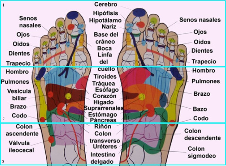 CIFES