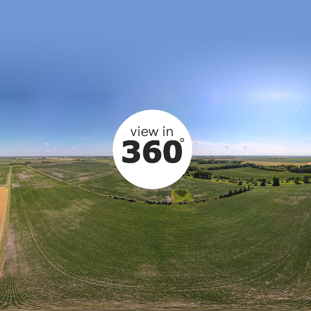 Clay County, MN Land Auction 288AC