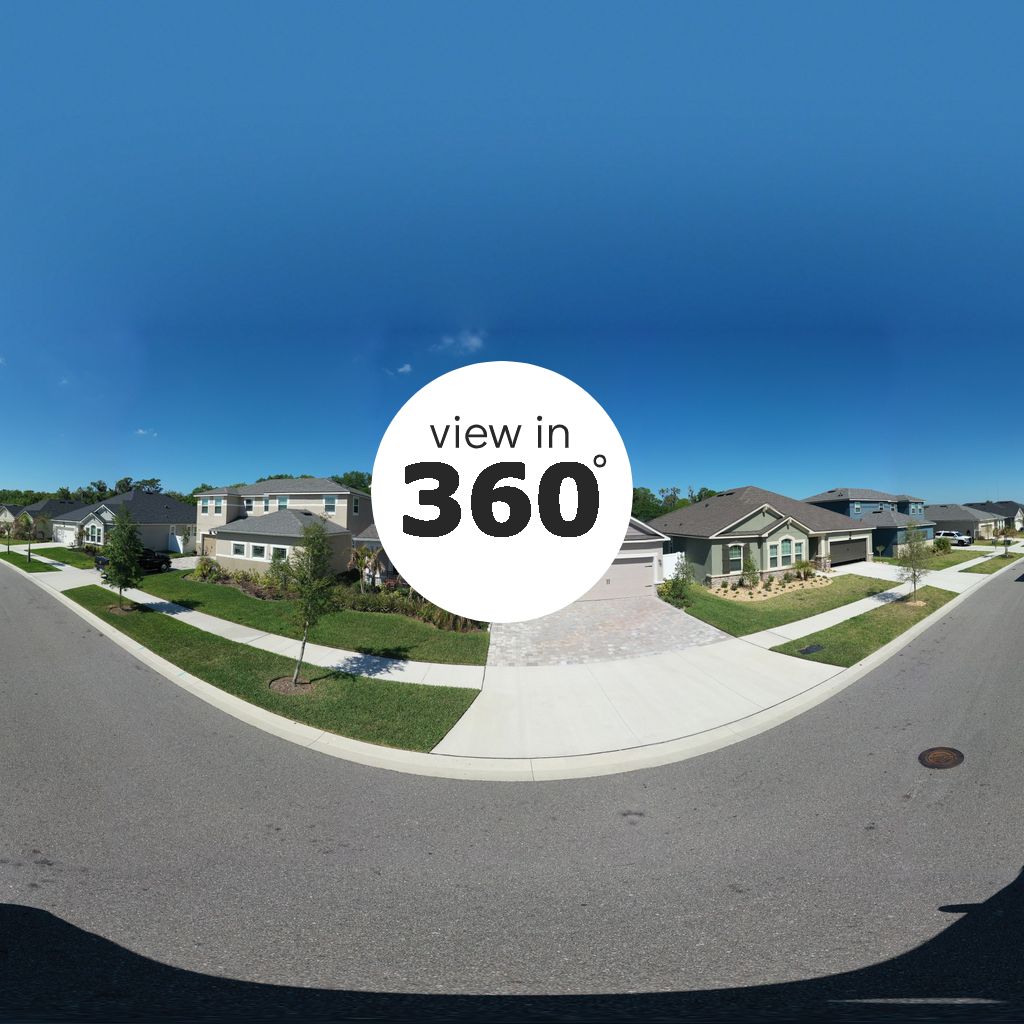 12913 Satin Lily Drive, Riverview, FL 33579 32821, TB