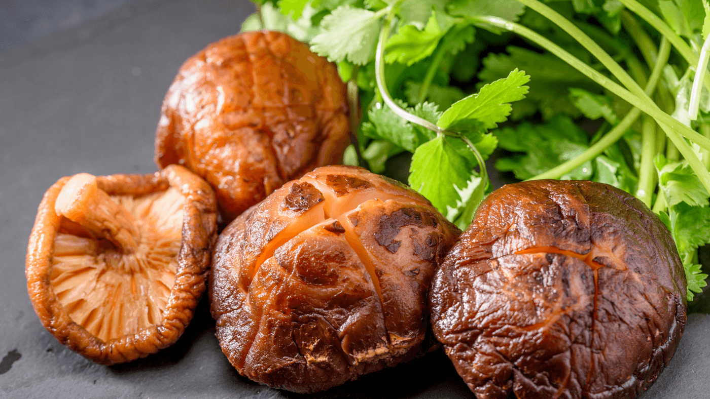 Medicinal Mushrooms Your Guide to Natural Health and Healing Be