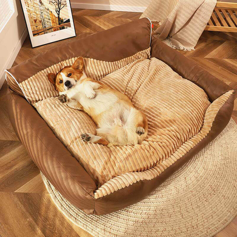 Best Dog Bed to Keep Your Dog Warm in Winter