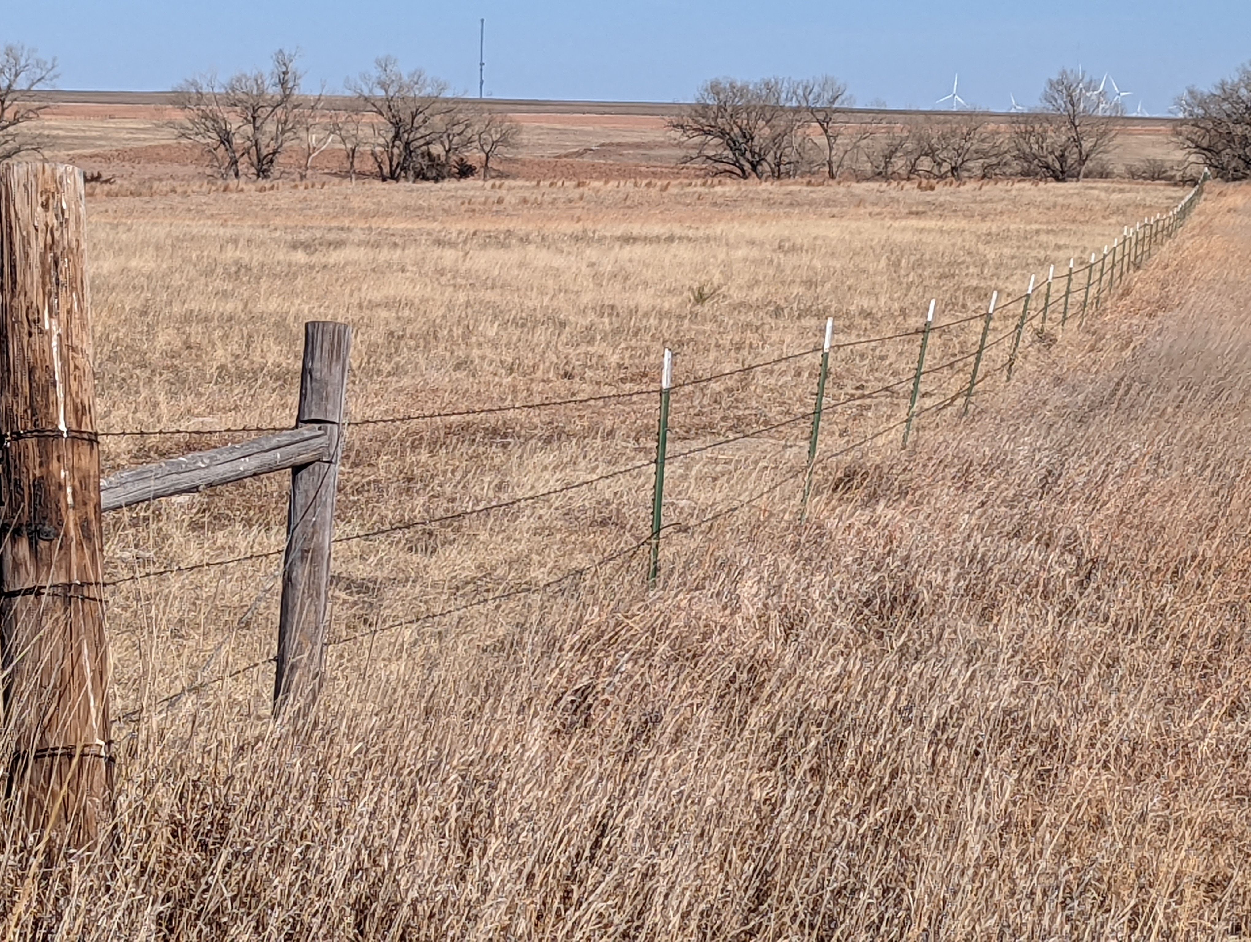 Item 19 in SOLD!!! Auction 800 Acres +/ Trego Co., KS gallery