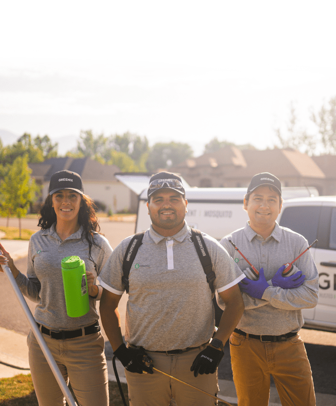 Eradicating Pests with Precision Greenix Pest Control Declares an All