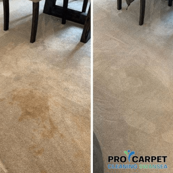Pro Carpet Cleaning Swansea Elevating Excellence to Pontyclun's