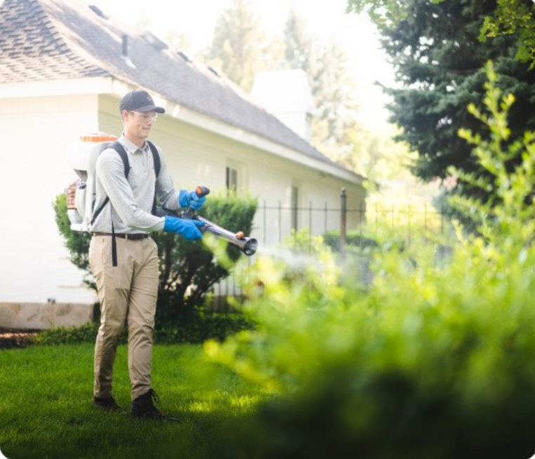 Greenix Pest Control Expands its Services in Allentown, PA, Offering