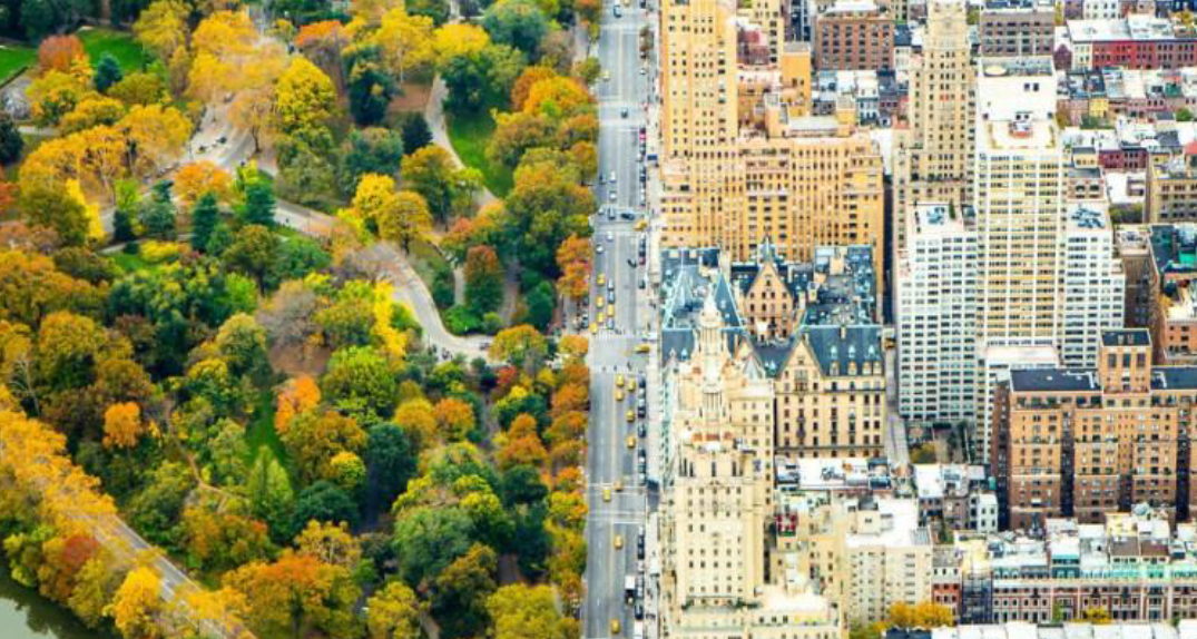 New York Real Estate Attorney Natalia Sishodia Discusses FirstTime