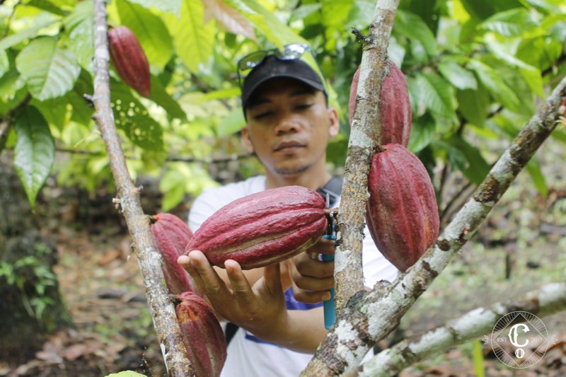 Llanthu Cocoa traceability Demo