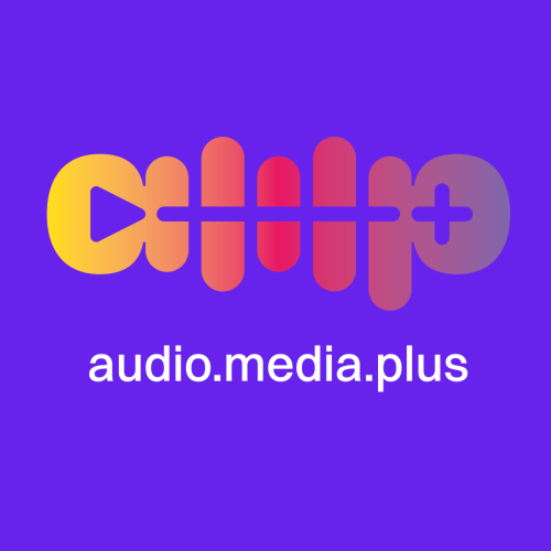 audio.media.plus service GmbH & Co. KG Offene Stellen