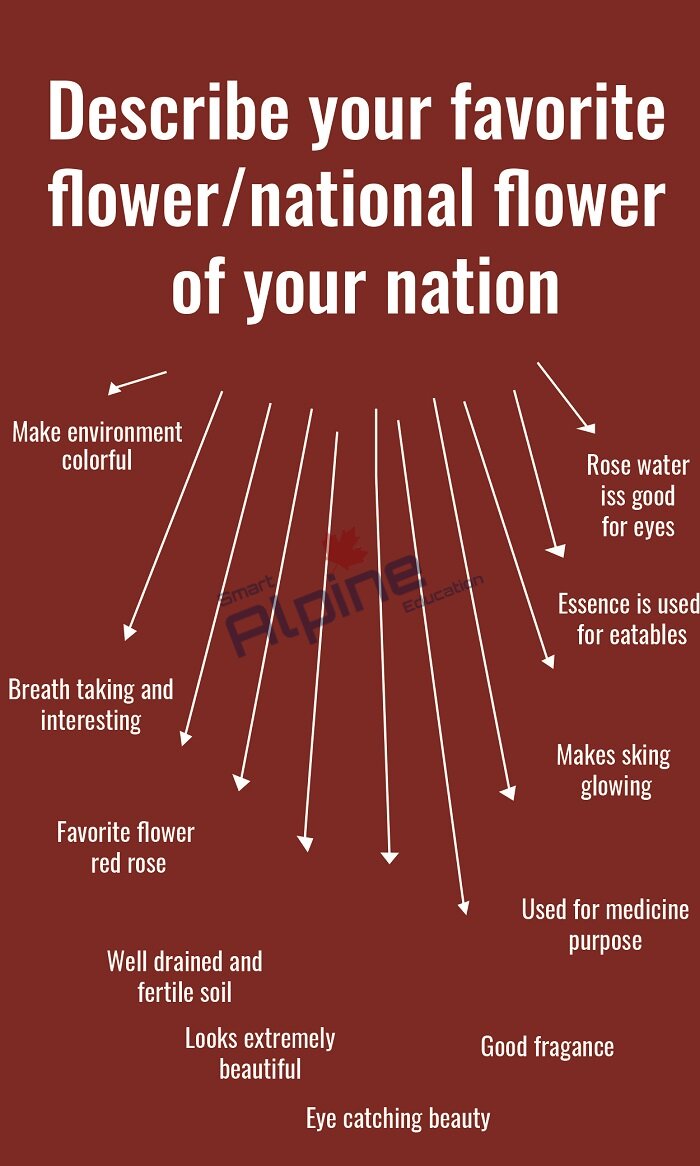 May 2021 To August 2021 Cue Cards With Answers