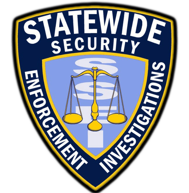 Statewide Security Login