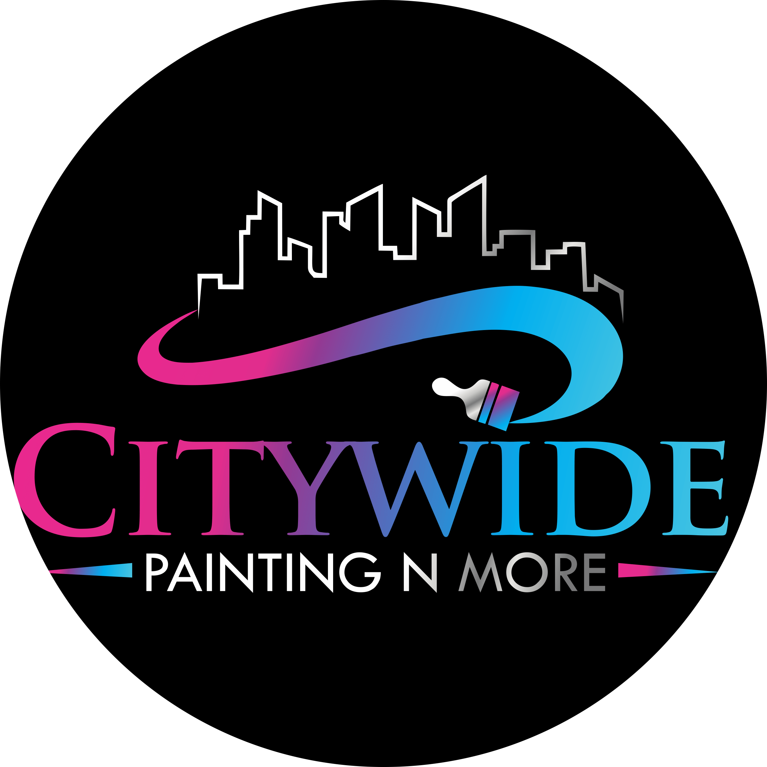 Citywide Painting N More Trusted House Painter