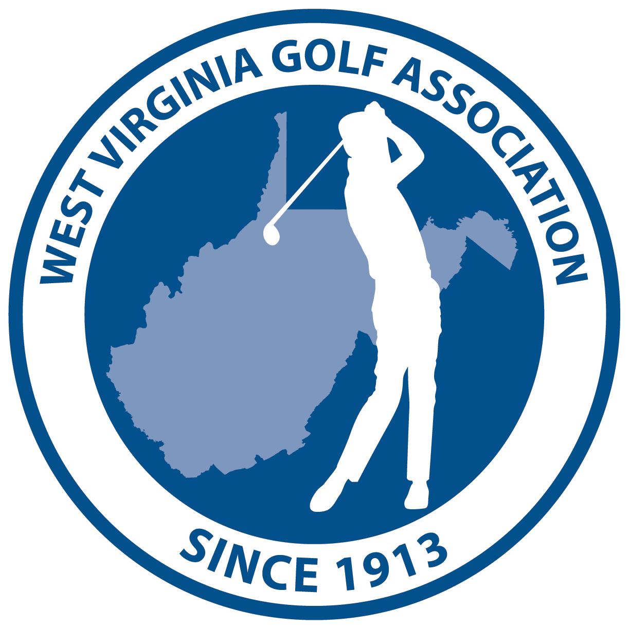 WVGA