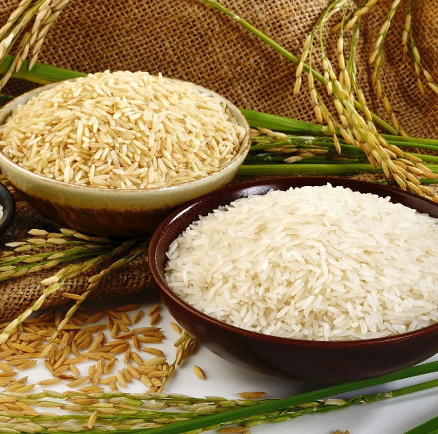 Rice sellers in Tamilnadu, india Rice suppliers Tamilnadu