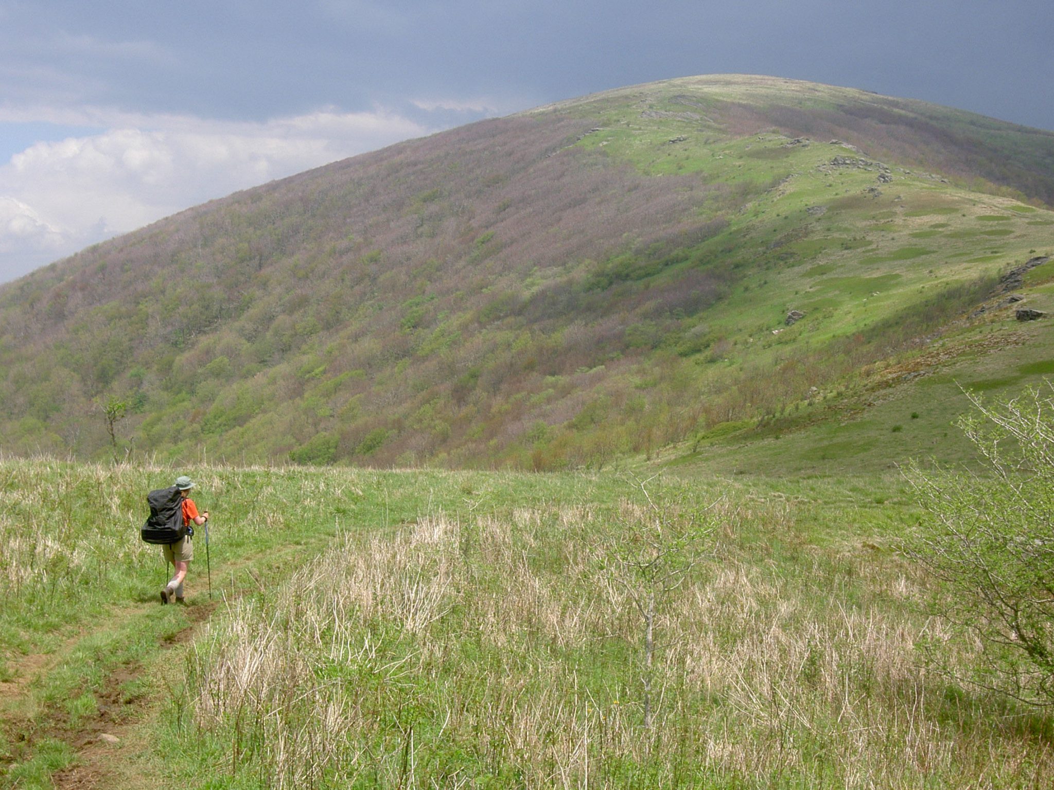 324 Acres on TN slopes of Hump Mountain — Now Protected! Southern Appalachian Highlands