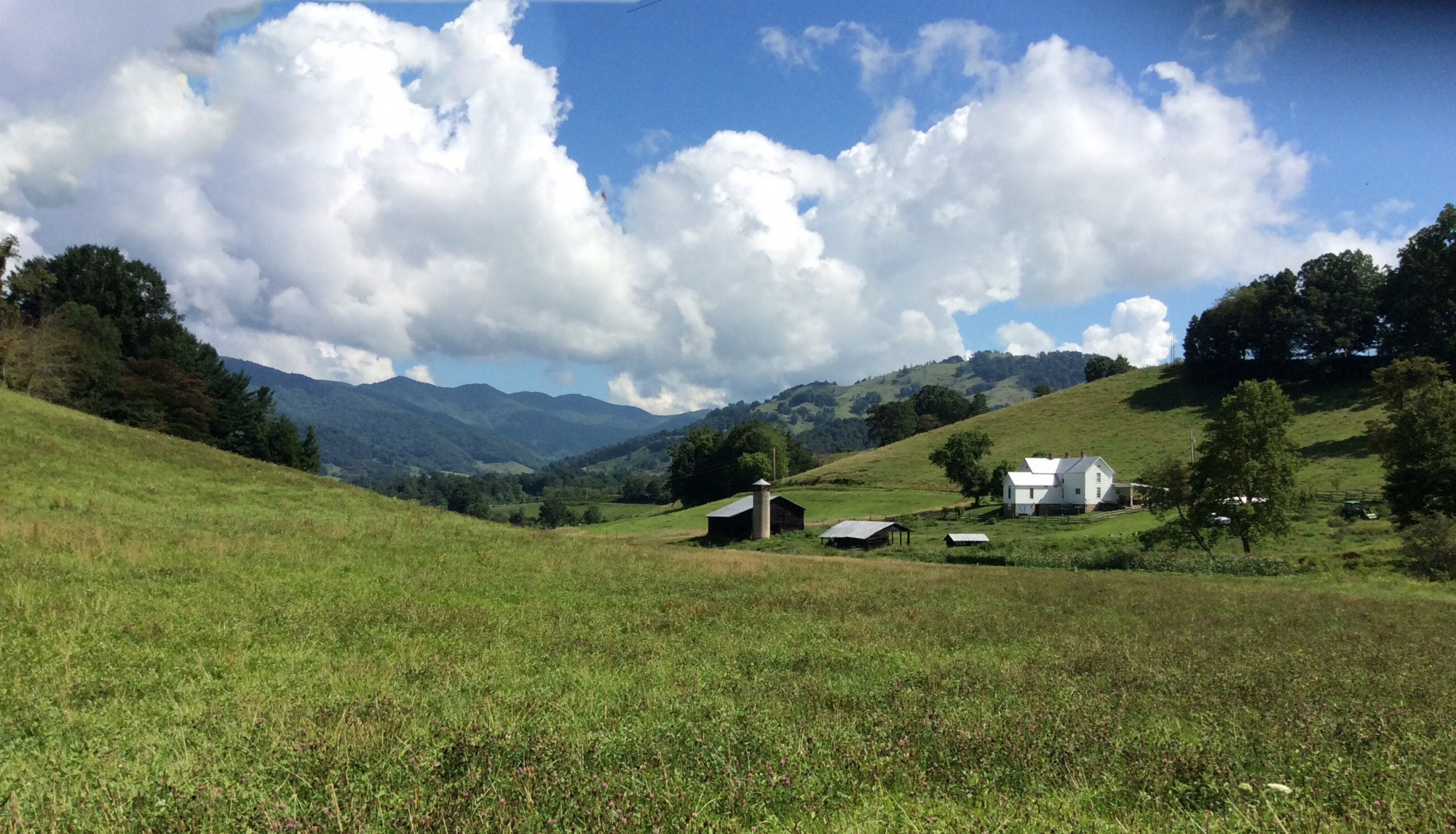 Rogers Cove 236 MORE Acres Southern Appalachian Highlands Conservancy