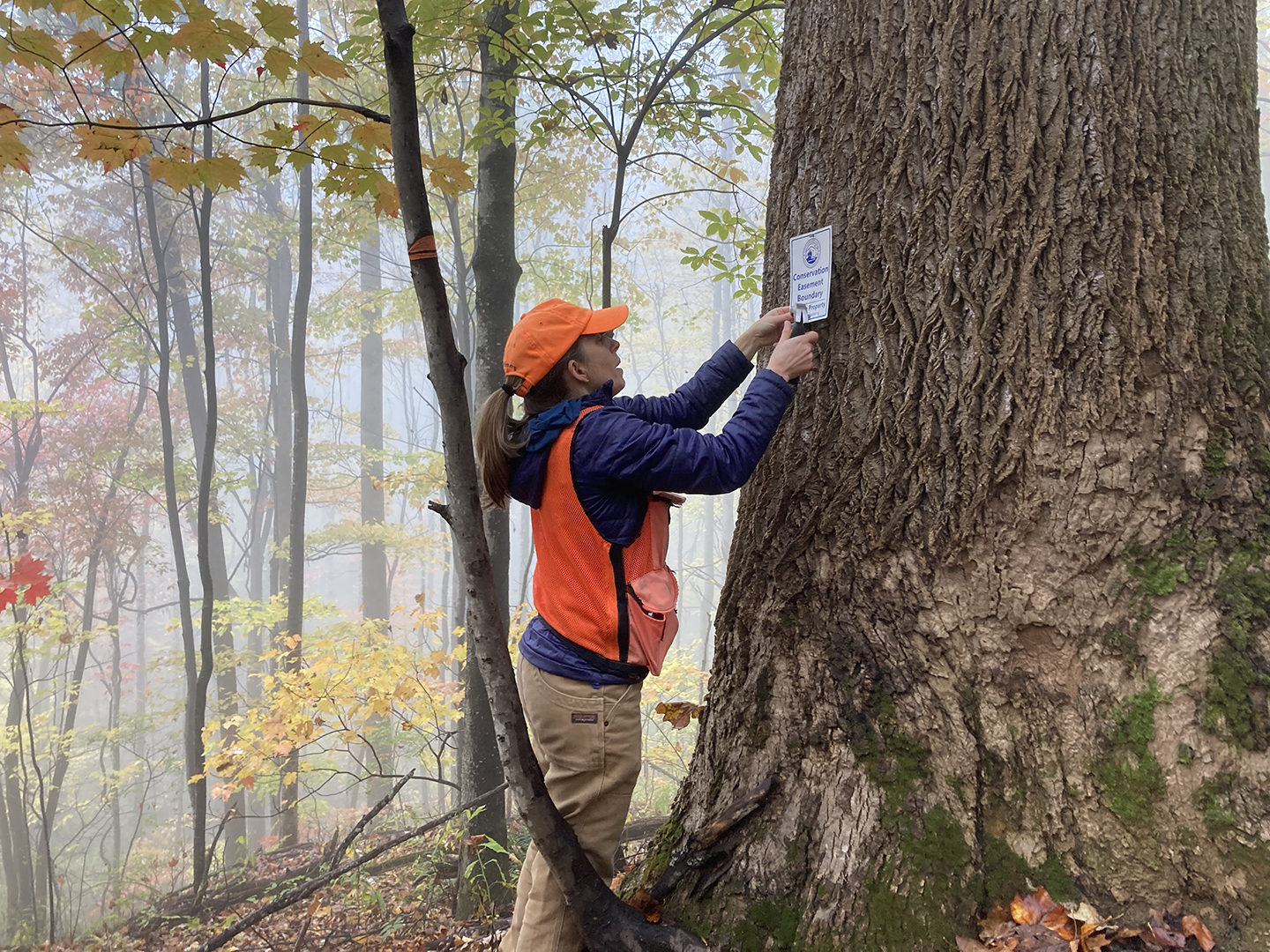 Conservation Easement Landowner Manual Southern Appalachian Highlands