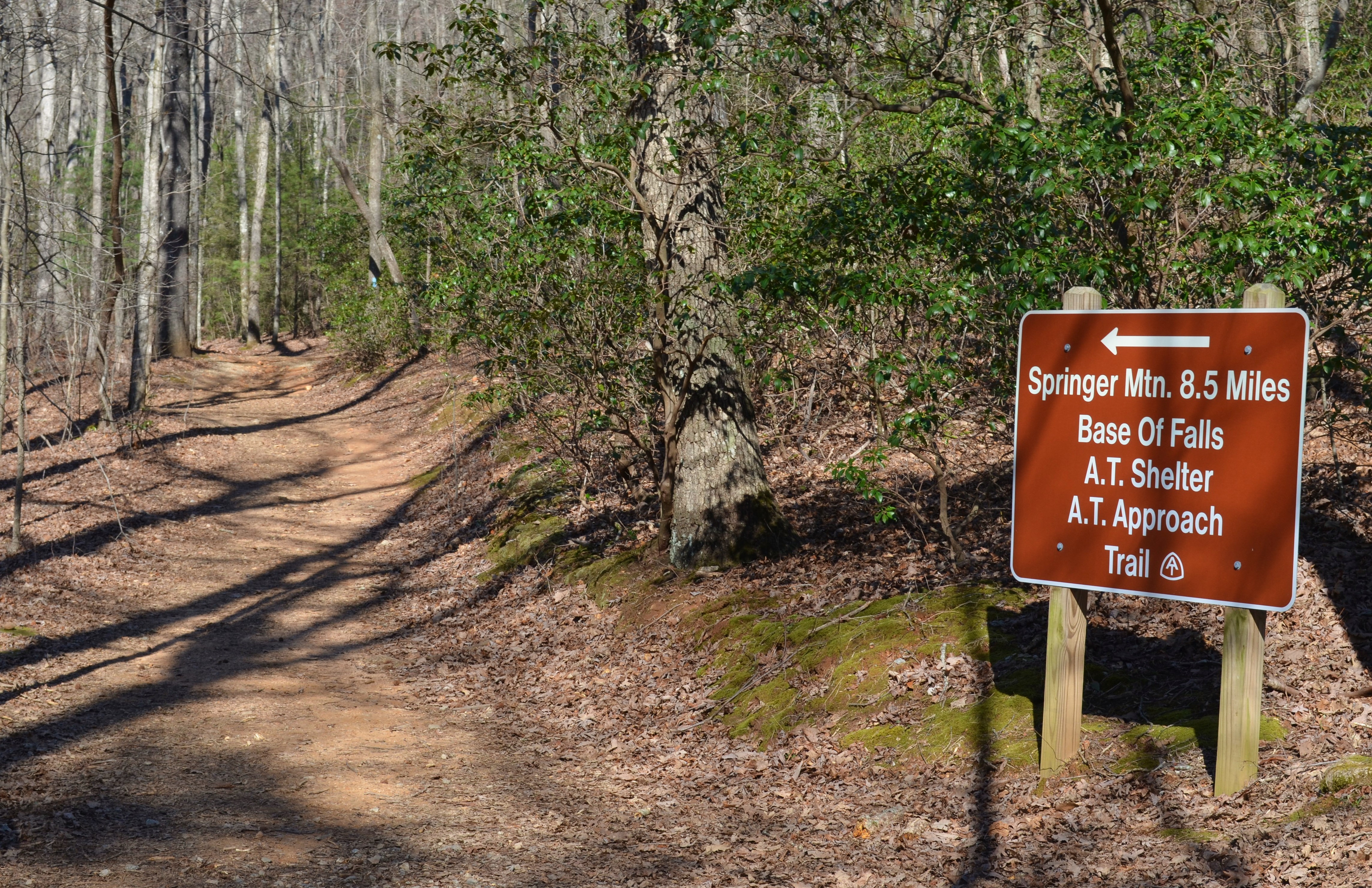 Pictures Dahlonega's Appalachian Trail Fest 2014