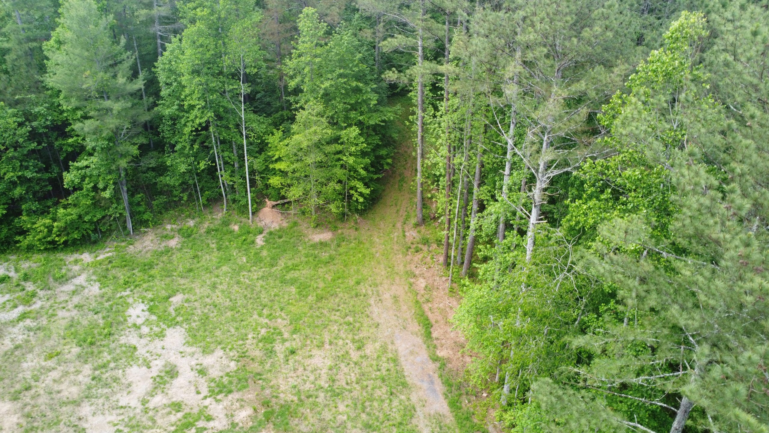 141 Cove Lake Drive, Marble Hill, GA For Sale appalachias