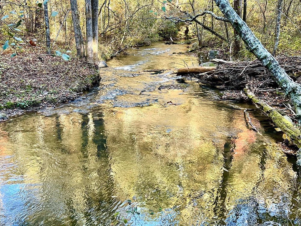 Northern Real Estate Developers appalachias