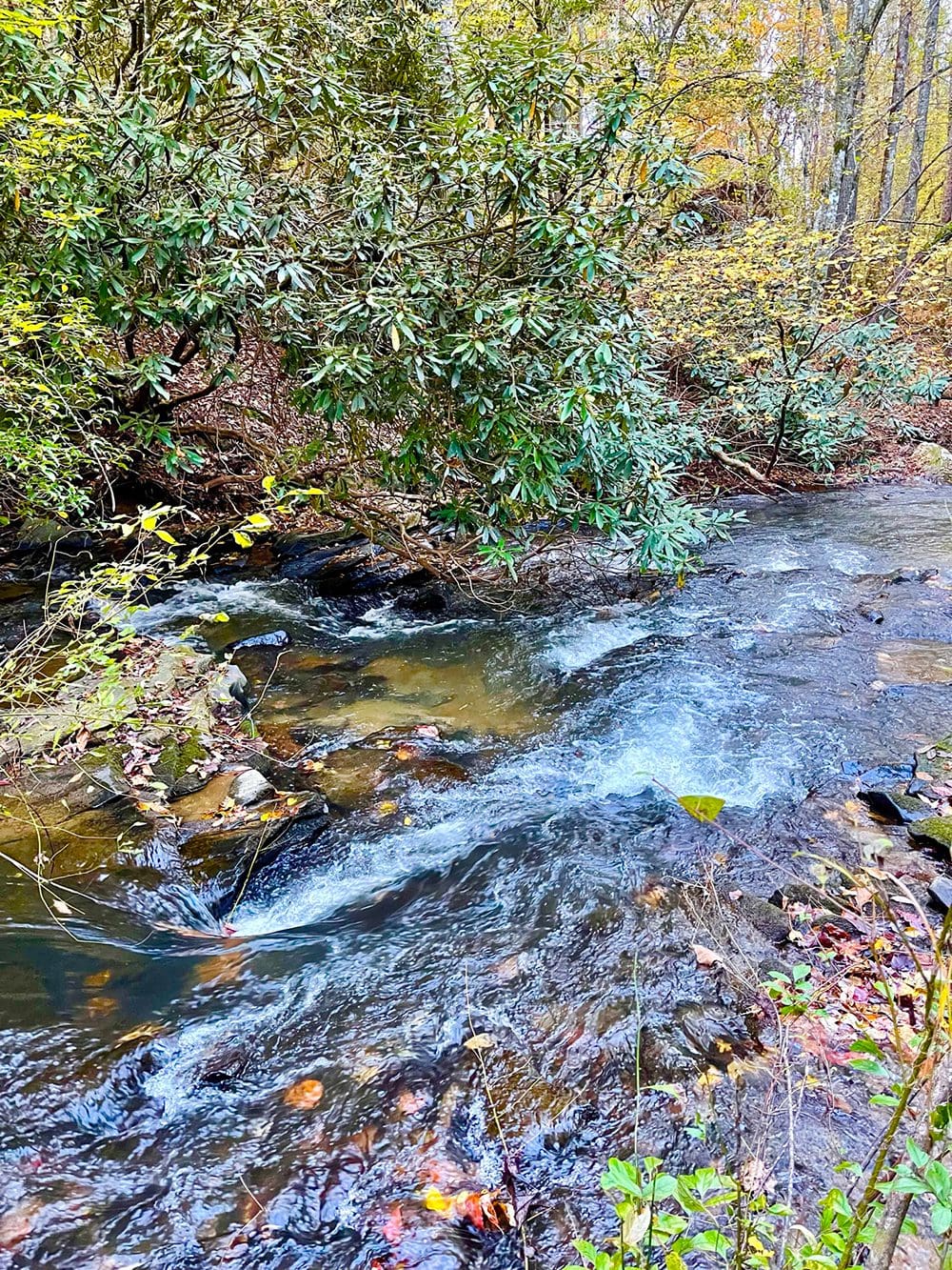 134AC Lower Tails Creek, Ellijay, GA 3+ Acre Creekfront / Lots