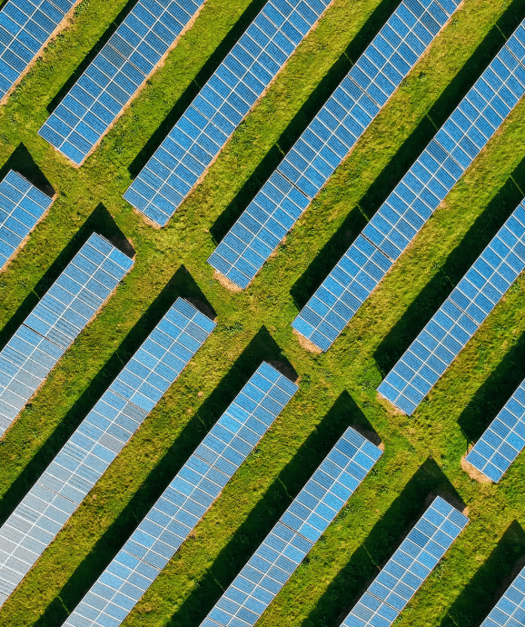 About Us Apparel Impact Institute