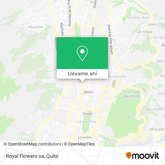 Royal Flowers Ecuador Direccion Best Flower Site