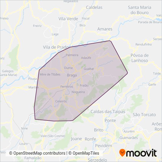 TUB Transportes Urbanos de Braga, Porto, Braga e Vila Real